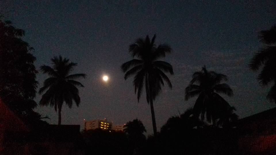 15965436_1853445344914434_594815161248563900_n